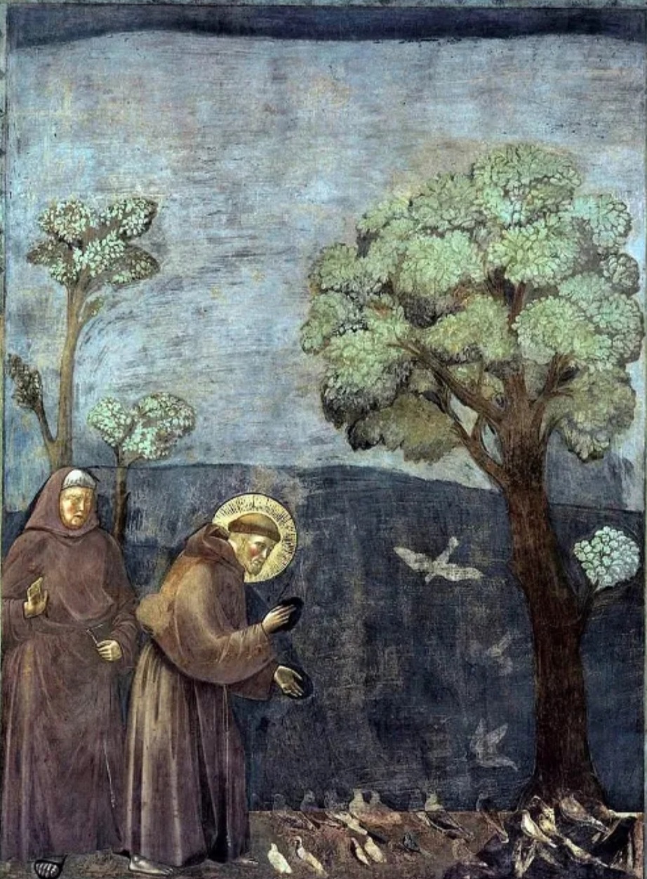 The Spirit of St. Francis – Capuchin Sisters of St Joseph